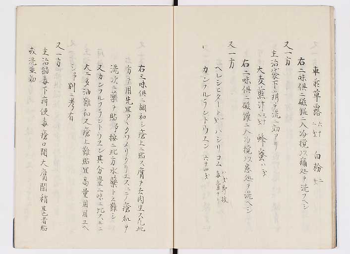 K0085s0024