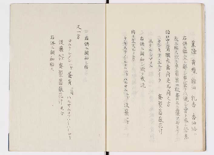 K0085s0029