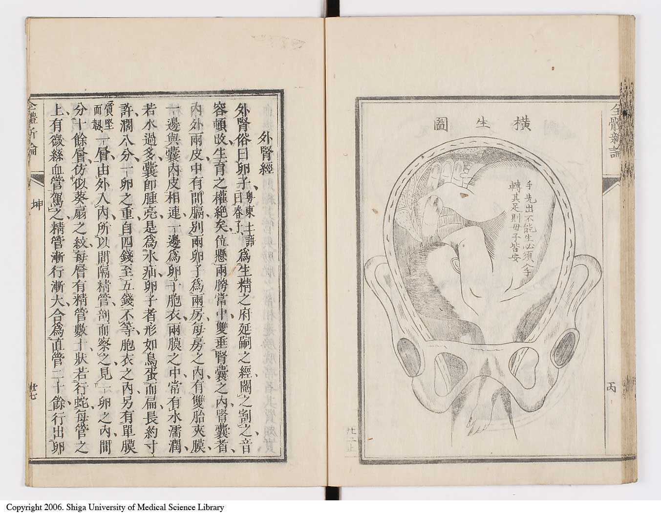 K0086l0091