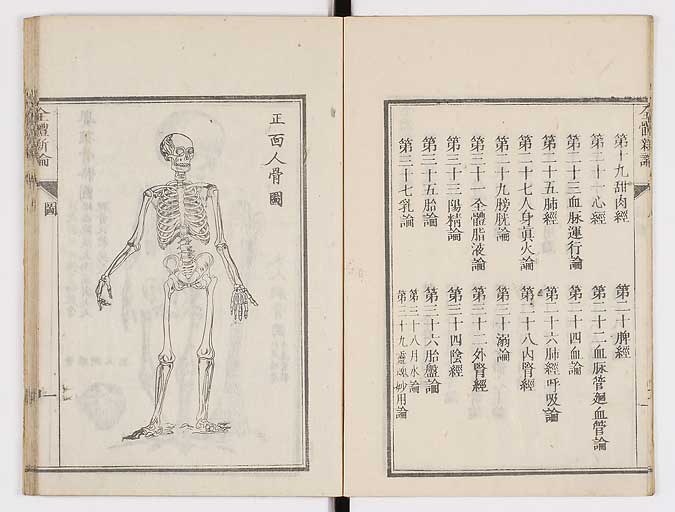 K0086s0007