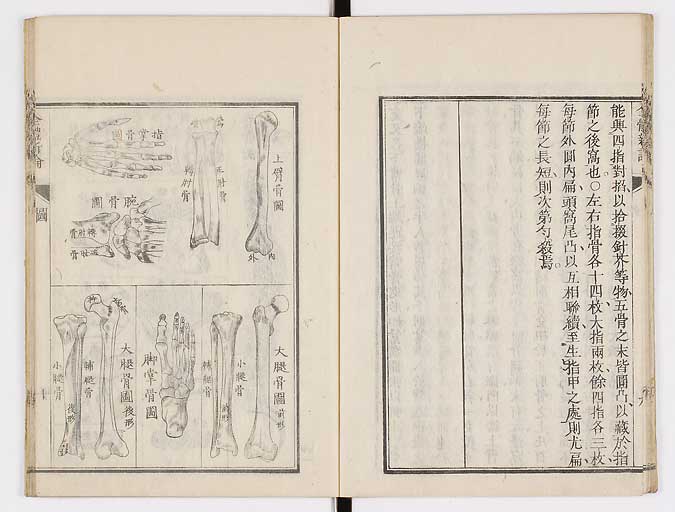 K0086s0019
