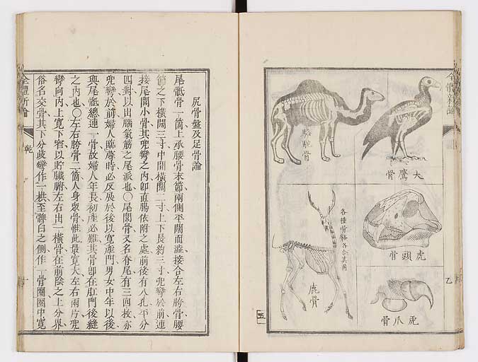 K0086s0021