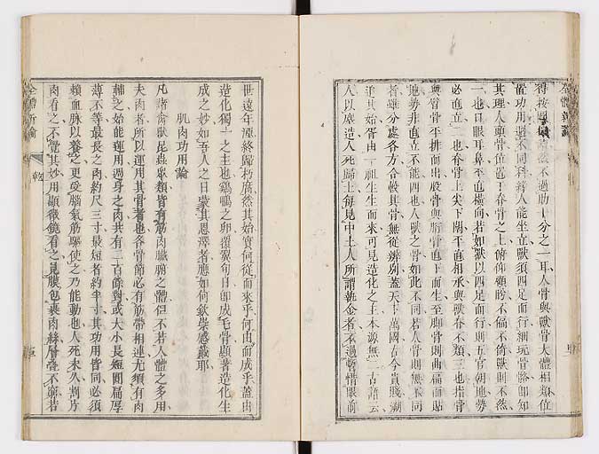K0086s0024