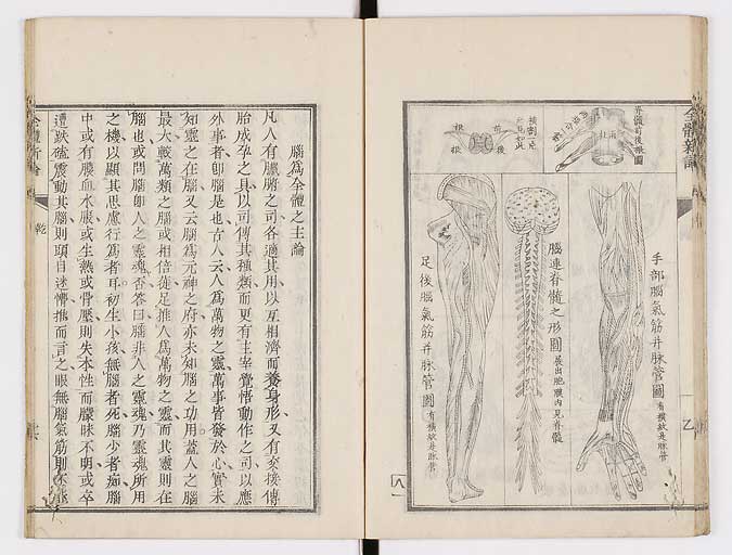 K0086s0030