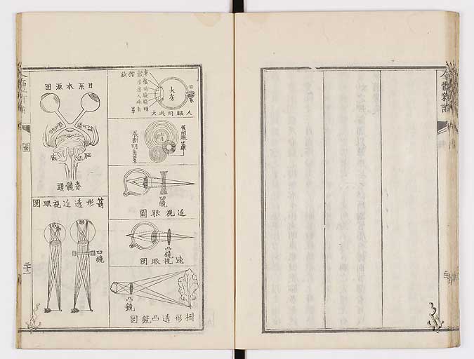K0086s0036