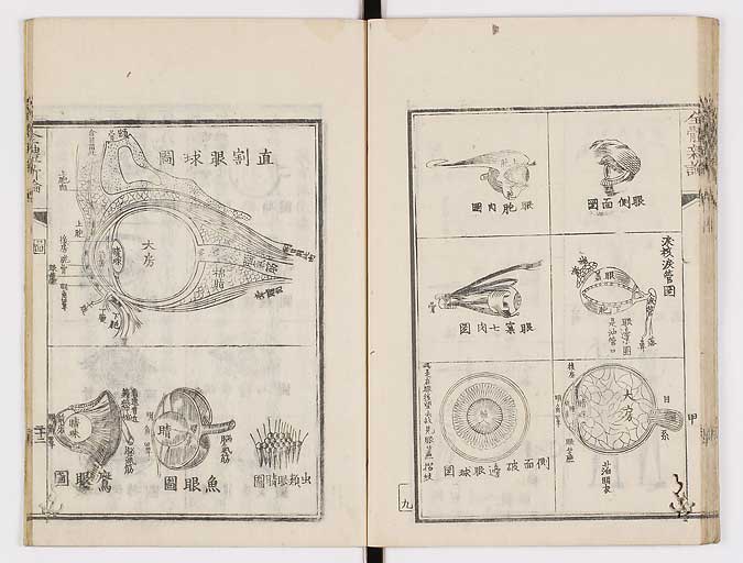 K0086s0037