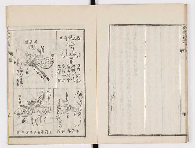 K0086s0047