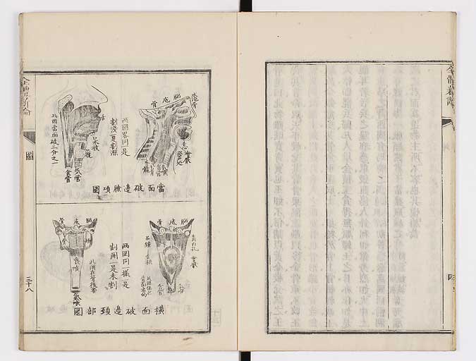 K0086s0059