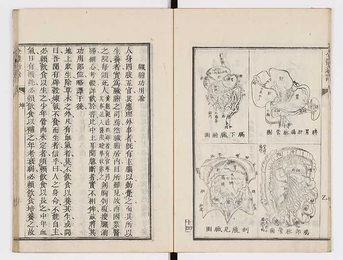 K0086s0061