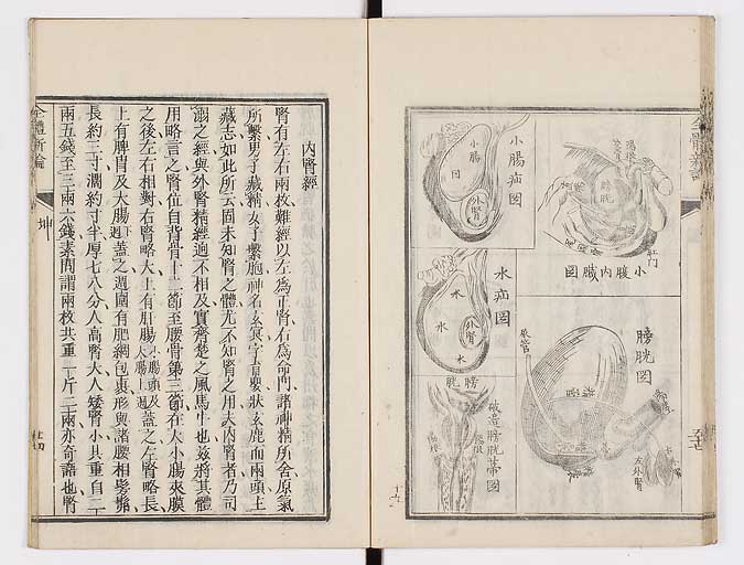 K0086s0085