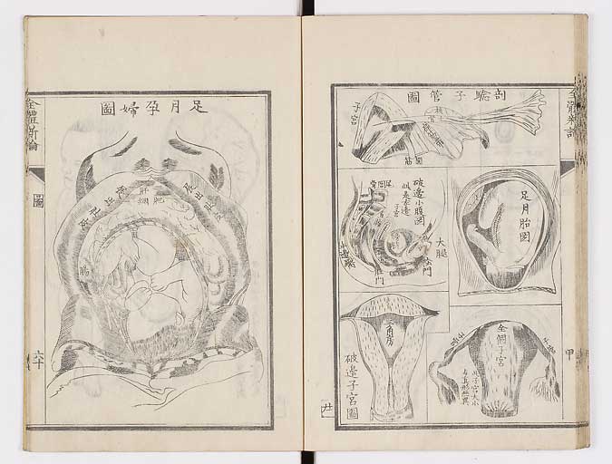 K0086s0089