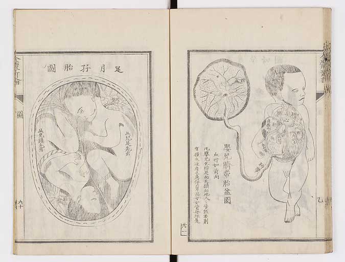 K0086s0090