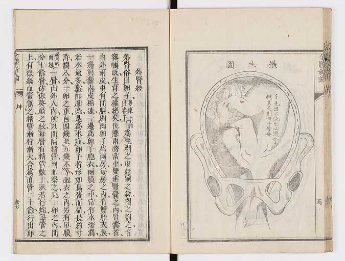 K0086s0091