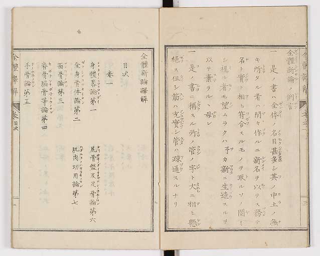 K0087s0005