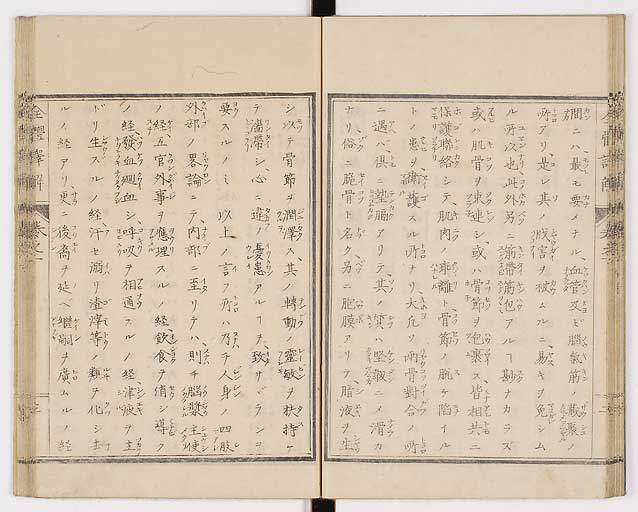 K0087s0020