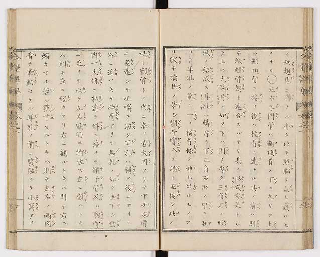 K0087s0024