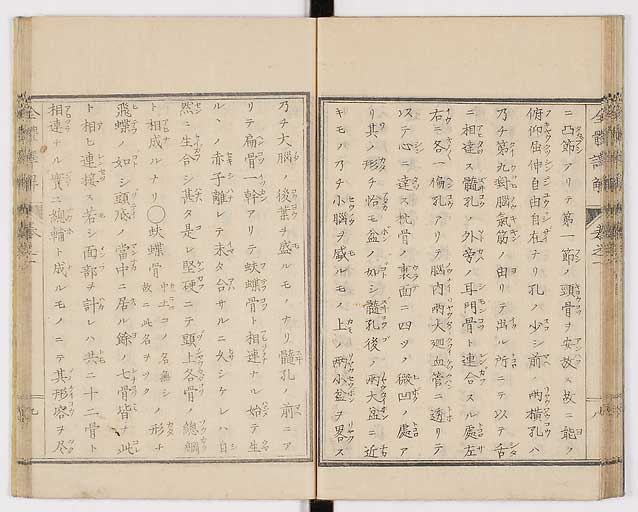 K0087s0026