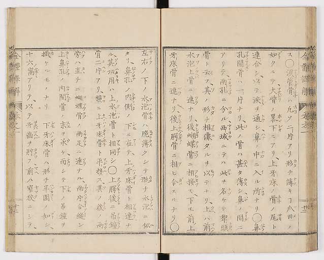 K0087s0030