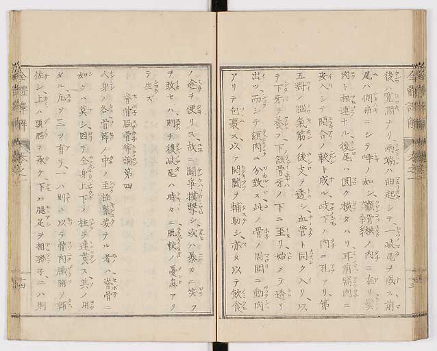 K0087s0031