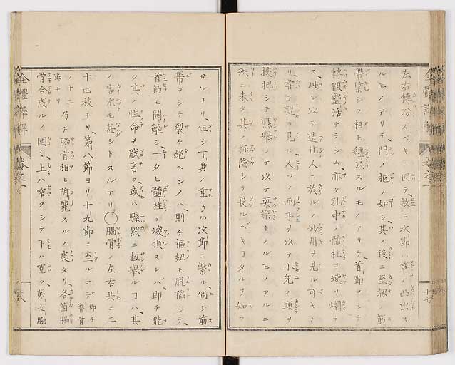 K0087s0035