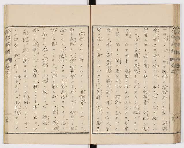K0087s0037