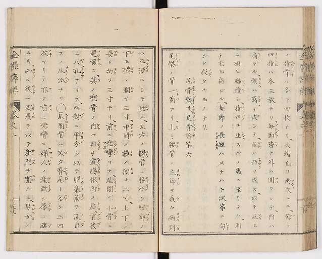K0087s0040