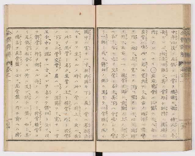 K0087s0041