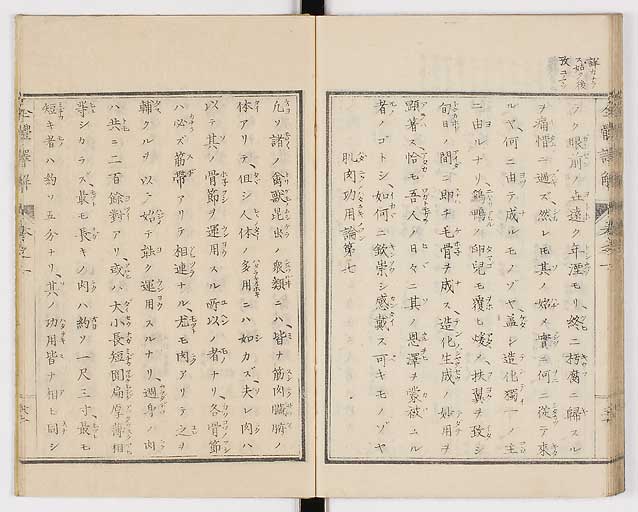 K0087s0048