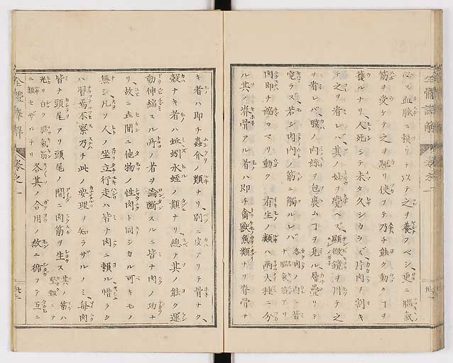 K0087s0049