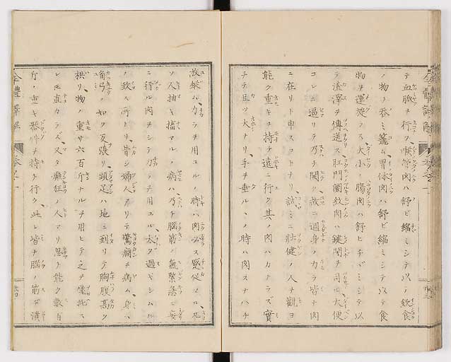 K0087s0051