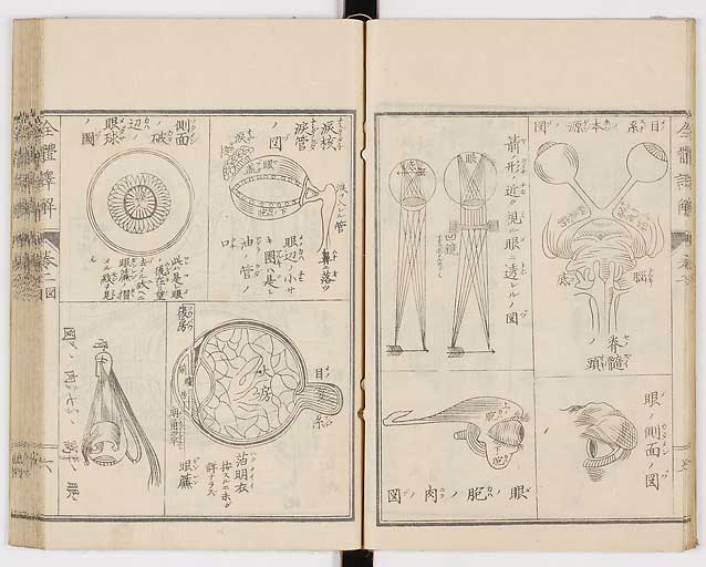 K0087s0063