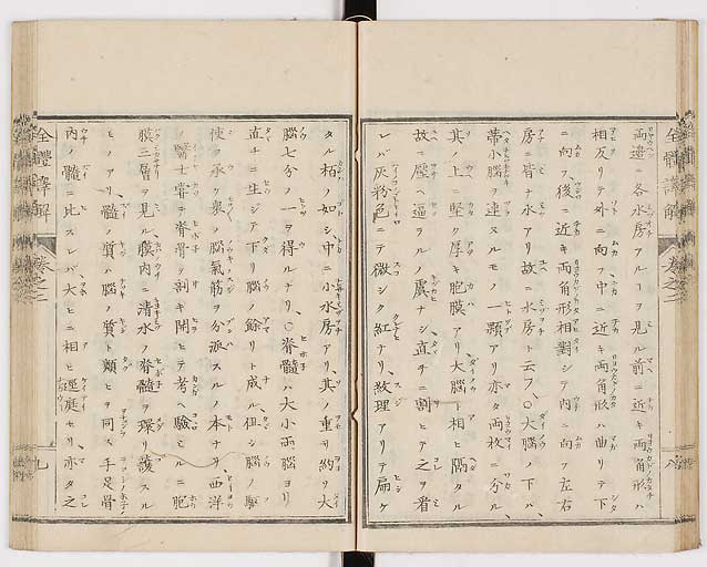 K0087s0075