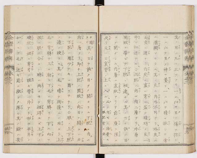 K0087s0084