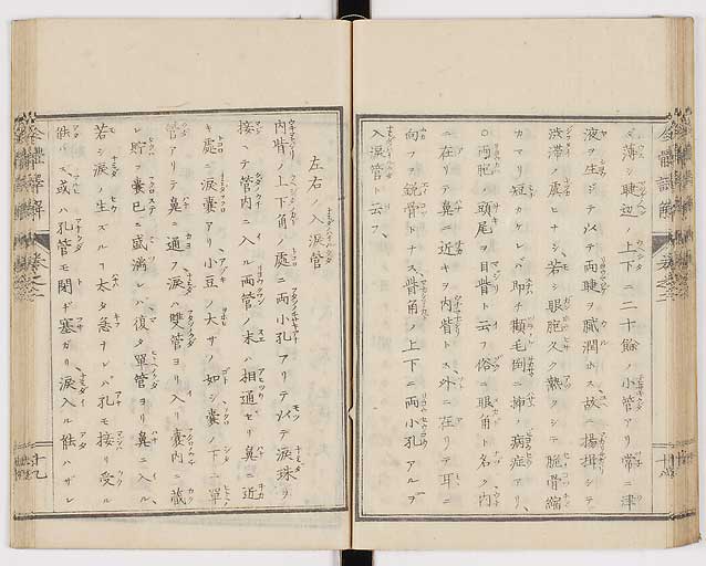 K0087s0085