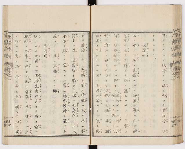 K0087s0092