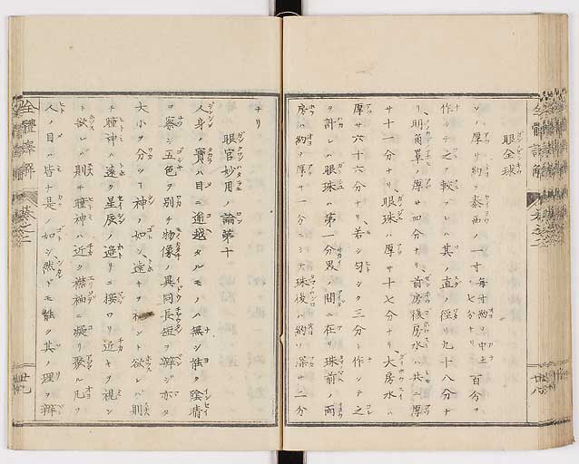 K0087s0095