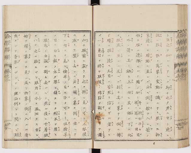 K0087s0098