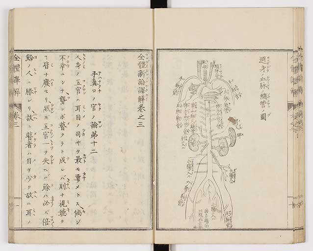K0087s0124