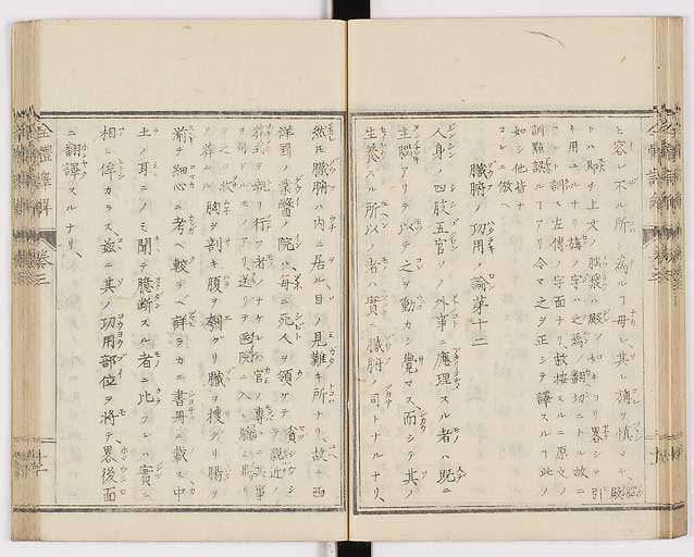 K0087s0135