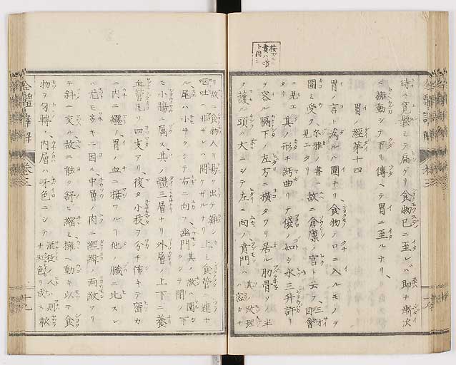 K0087s0142