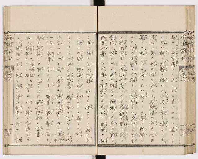 K0087s0149