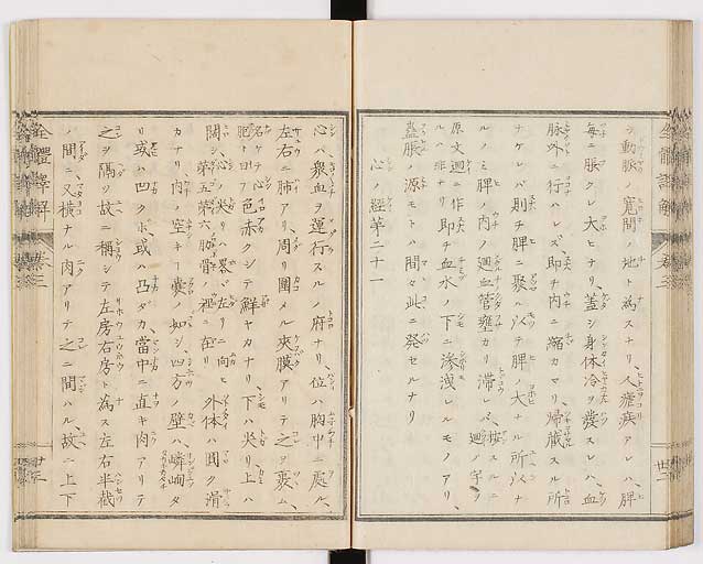 K0087s0156