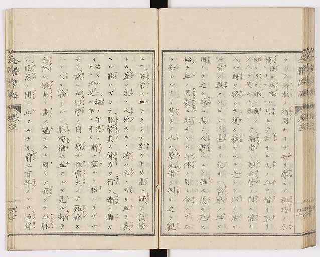 K0087s0164