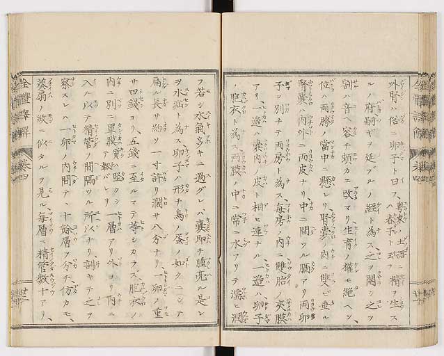 K0087s0206