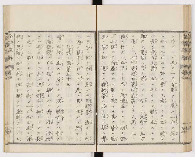 K0087s0208