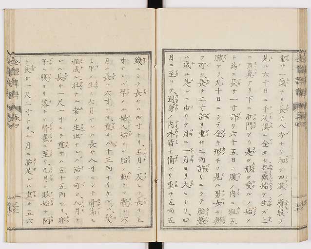 K0087s0215