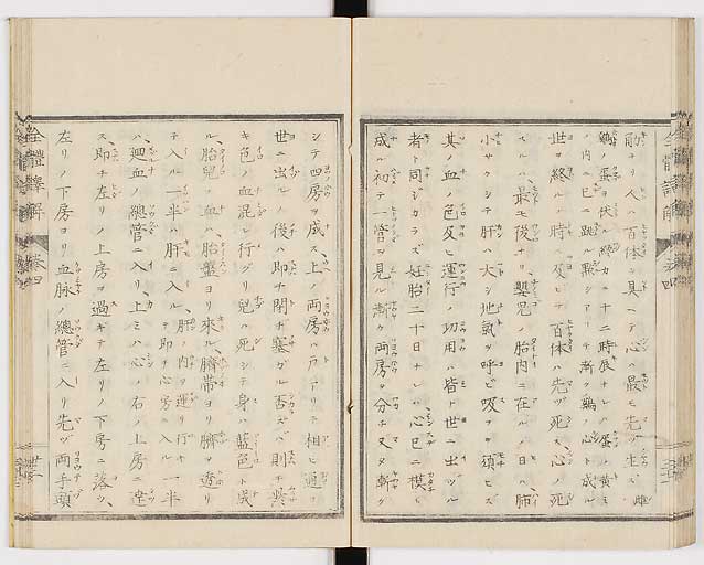 K0087s0216