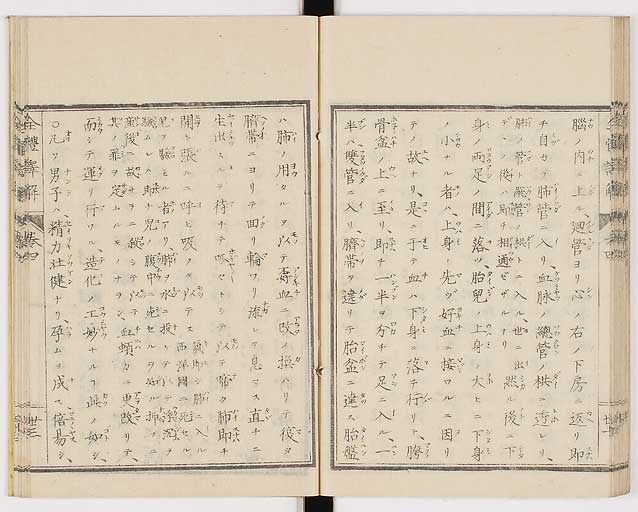 K0087s0217