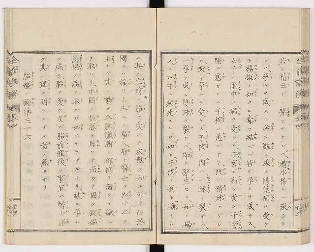 K0087s0218
