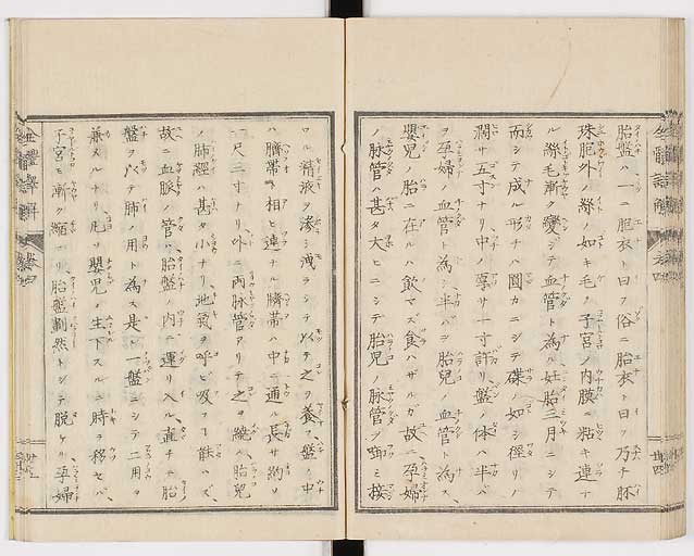 K0087s0219